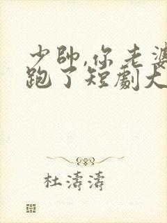 少帅,你老婆又跑了短剧大结局