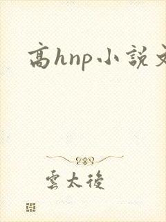 高hnp小说文