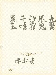 慕千汐凰九夜邪王嗜宠鬼医狂妃无弹窗