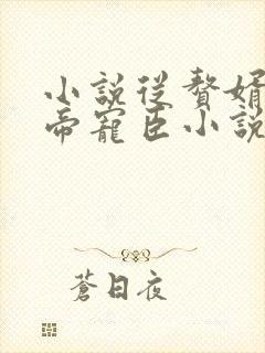 小说从赘婿到女帝宠臣小说