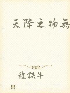 天降之物无删减