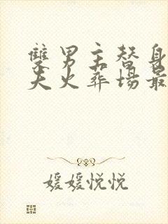 双男主替身文追夫火葬场最好看