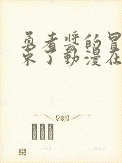 勇者酱的冒险结束了动漫在线观看