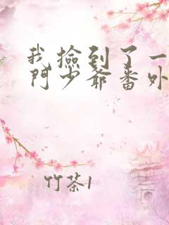 我捡到了一对豪门少爷番外