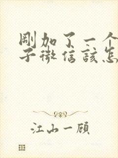 刚加了一个女孩子微信该怎么聊天