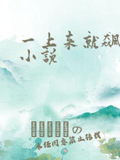 一上来就飙车的小说