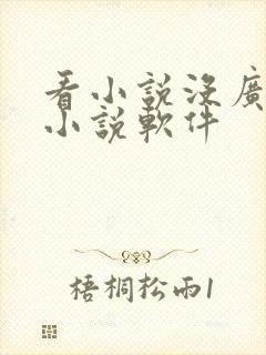 看小说没广告的小说软件