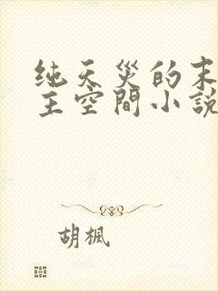 纯天灾的末世女主空间小说