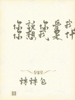 你说你爱我你说你想我是什么歌