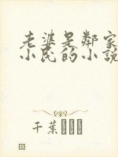 老婆是邻家小鬼小民的小说