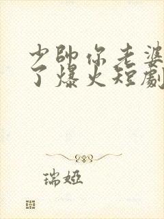 少帅你老婆又跑了爆火短剧