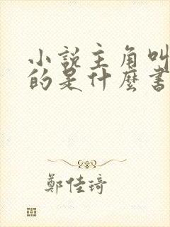 小说主角叫林凡的是什么书