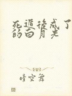死遁后成了兄长的白月光