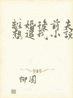 离婚后前夫总是想追我小说无弹窗