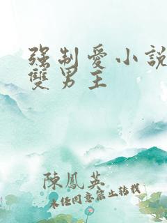 强制爱小说推荐双男主