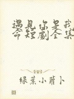 遇见你是我的宿命短剧全集完整版