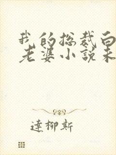 我的总裁白富美老婆小说未删减在线看