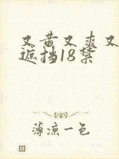 又黄又爽又色无遮挡18禁