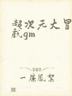 超次元大冒险游戏gm
