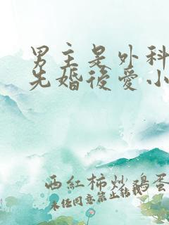 男主是外科医生先婚后爱小说