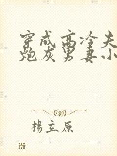 穿成高冷夫郎的炮灰男妻小说