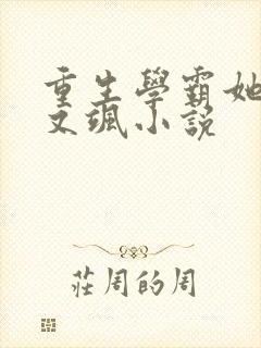 重生学霸她又美又飒小说