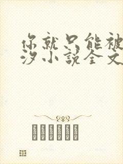 你就只能被by汐小说全文免费阅读