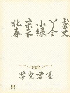 北宋小丫鬟by春未绿全文免费阅读