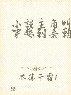 小说主角叫赵浪穿越到秦朝