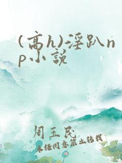 (高h)淫趴np小说