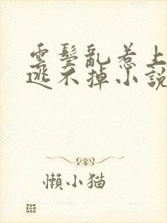 云鬓乱惹上权臣逃不掉小说全文