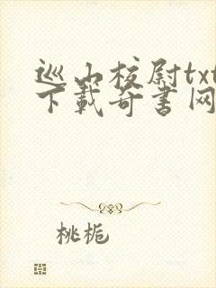 巡山校尉txt下载奇书网免费