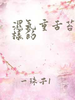 湿气重舌苔是怎样的