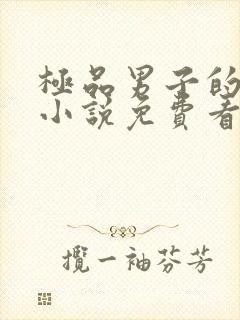 极品男子的公寓小说免费看