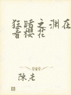 狂赌之渊在线观看樱花