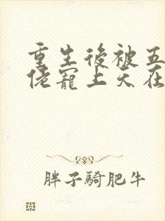 重生后被五个大佬宠上天在线小说