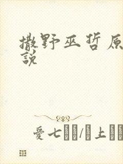 撒野巫哲原著小说