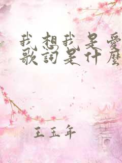 我想我是爱你的歌词是什么歌