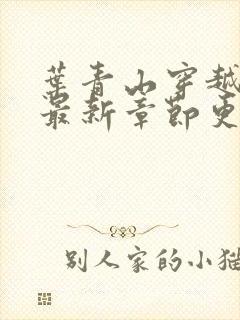 叶青山穿越小说最新章节更新