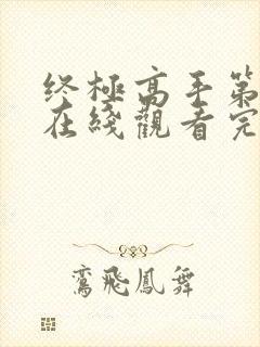 终极高手第一季在线观看完整版