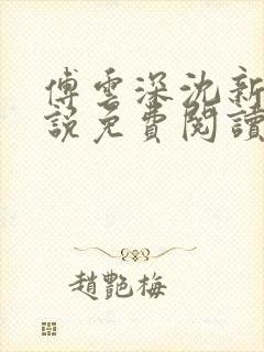 傅云深沈新桐小说免费阅读