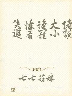 失忆后大佬前夫追着宠小说