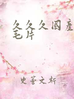 久久久国产精品毛片