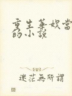 重生华娱当导演的小说