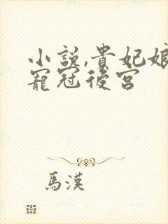 小说,贵妃娘娘宠冠后宫