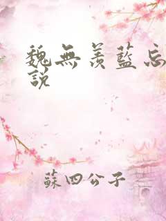 魏无羡蓝忘机小说