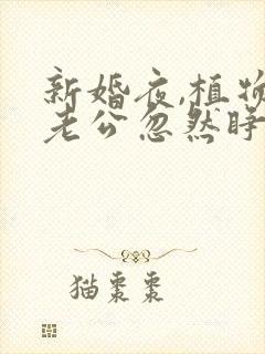 新婚夜,植物人老公忽然睁开眼叶叶不萌