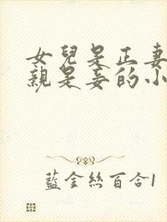 女儿是正妻,母亲是妾的小说