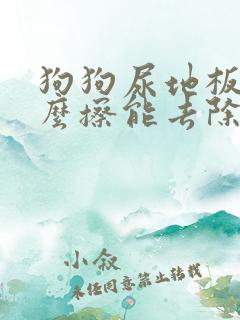 狗狗尿地板上怎么擦能去除骚味