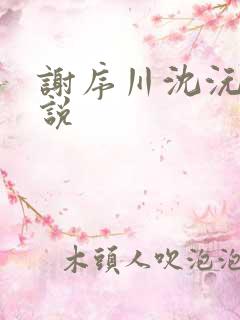 谢序川沈沅珠小说